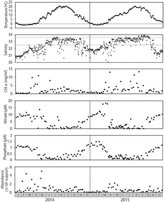 Cryptic Zooplankton Diversity Revealed by a Metagenetic Approach to Monitoring Metazoan Communities in the Coastal Waters of the Okhotsk Sea, Northeastern Hokkaido